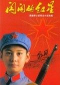 闪闪的红星 未删减版