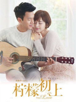柠檬初上 未删减版