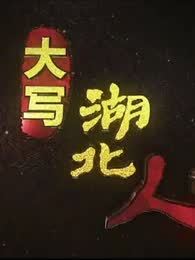 大写湖北人[2018]