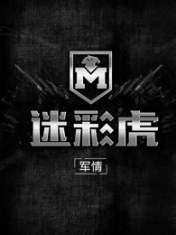 迷彩虎军情[2018]