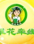 翠花牵线[2017]
