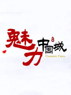 魅力中国城[2017]