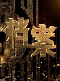 BTV档案[2017]