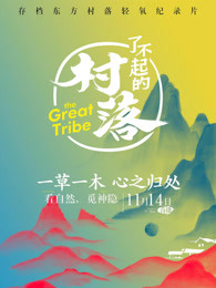 了不起的村落[2018]