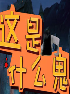 这是什么鬼[2017]