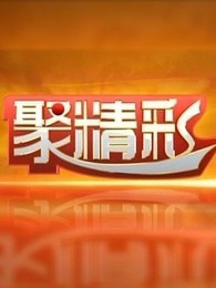 聚精彩[2017]
