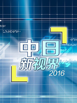 中日新视界[2017]