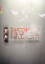 两岸秘密档案[2017]