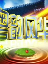 粤韵风华[2017]