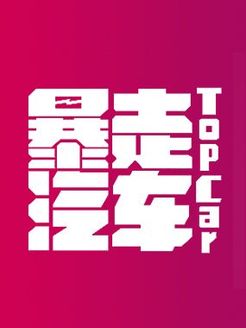 暴走汽车[2018]