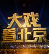 大戏看北京[2017]