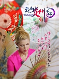 我在贵州等你[2017]