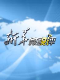新华微视评[2017]