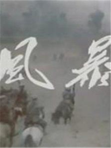 风暴抗战片