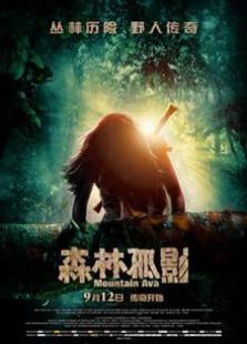 森林孤影2014