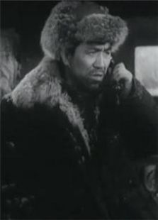 昆仑山上一棵草1962