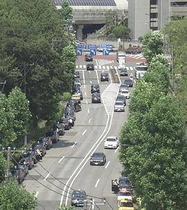 他们的城市