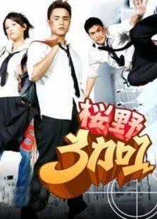 樱野三加一