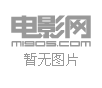 伉俪英雄