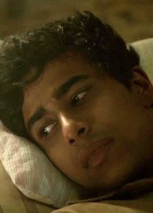 国土安全 第四季