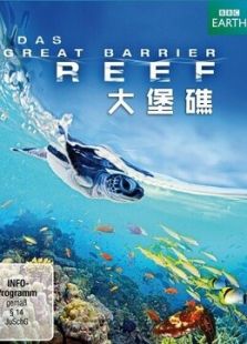 大堡礁