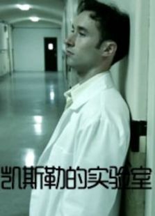 凯斯勒的实验室