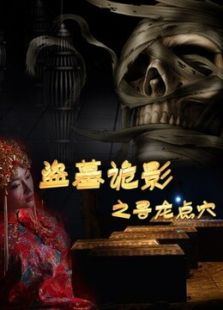 盗墓诡影之寻龙点穴