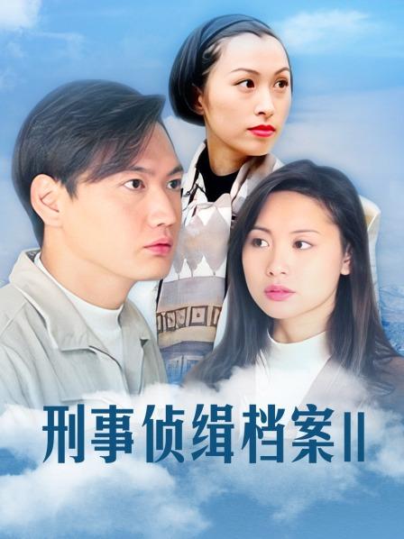 刑事侦缉档案Ⅱ
