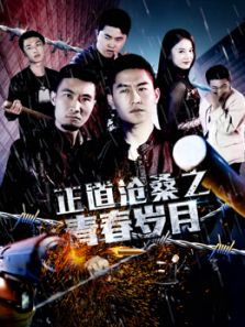 正道沧桑之青春岁月