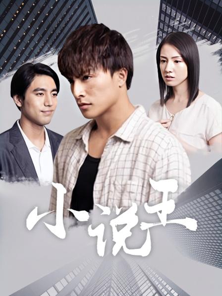 小说王