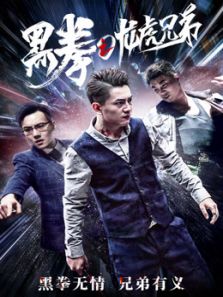 黑拳之龙虎兄弟