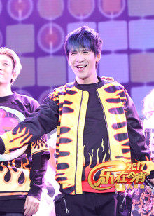 2017鸡年湖北春晚