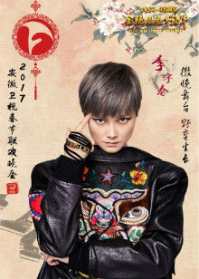 2017鸡年安徽春晚