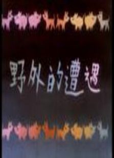 野外的遭遇
