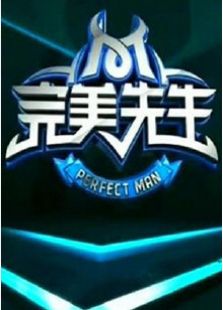 完美先生