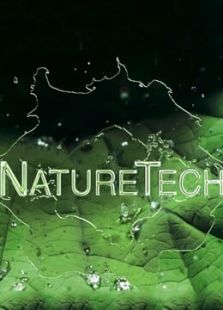 自然科学—工程师在大自然完美设计中寻找灵感