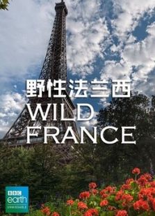 野性法兰西