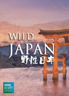 野性日本