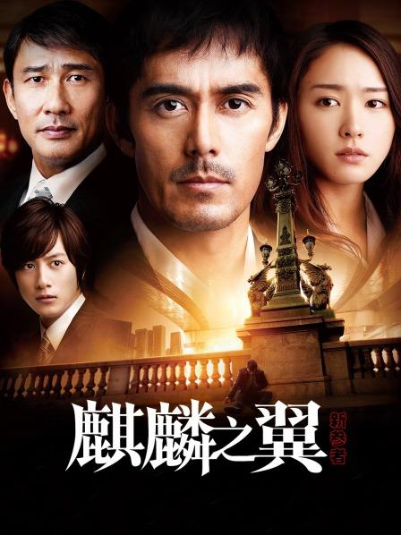 新参者:麒麟之翼