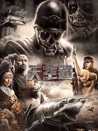 天空鲨:终极武器