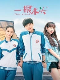 一根木头 第一季
